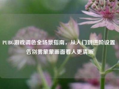 PUBG游戏调色全场景指南，从入门到进阶设置 告别雾蒙蒙画面看人更清晰