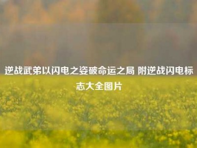 逆战武弟以闪电之姿破命运之局 附逆战闪电标志大全图片