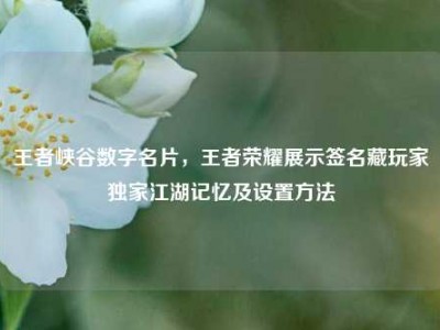 王者峡谷数字名片，王者荣耀展示签名藏玩家独家江湖记忆及设置方法