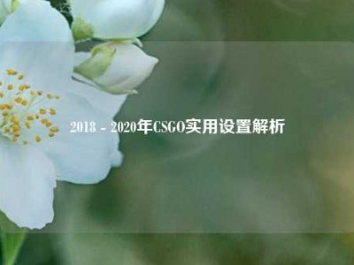 2018 - 2020年CSGO实用设置解析