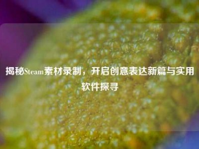 揭秘Steam素材录制，开启创意表达新篇与实用软件探寻