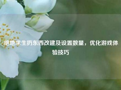 绝地求生扔东西改建及设置数量，优化游戏体验技巧