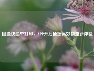 圆通快递单打印，APP开启便捷高效物流新体验