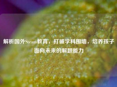 解析国外Steam教育，打破学科围墙，培养孩子面向未来的解题能力