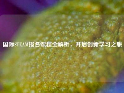 国际STEAM报名课程全解析，开启创新学习之旅