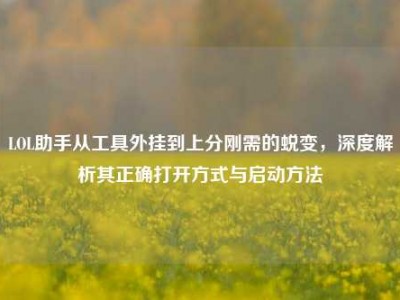 LOL助手从工具外挂到上分刚需的蜕变，深度解析其正确打开方式与启动方法
