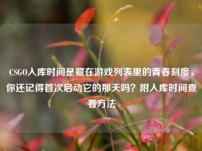 CSGO入库时间是藏在游戏列表里的青春刻度，你还记得首次启动它的那天吗？附入库时间查看方法