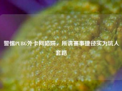 警惕PUBG外卡网陷阱，所谓赛事捷径实为坑人套路
