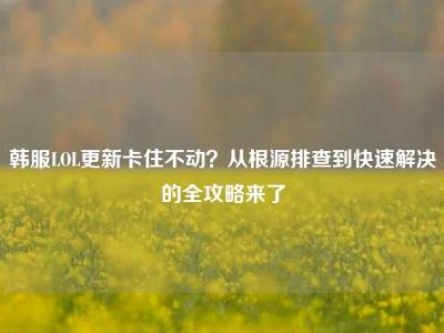 韩服LOL更新卡住不动？从根源排查到快速解决的全攻略来了
