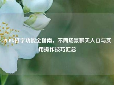 PUBG打字功能全指南，不同场景聊天入口与实用操作技巧汇总
