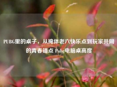 PUBG里的桌子，从掩体老六快乐点到玩家共同的青春锚点 Pubg电脑桌高度
