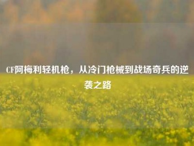CF阿梅利轻机枪，从冷门枪械到战场奇兵的逆袭之路