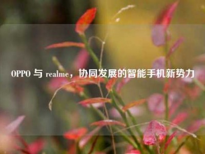 OPPO 与 realme，协同发展的智能手机新势力