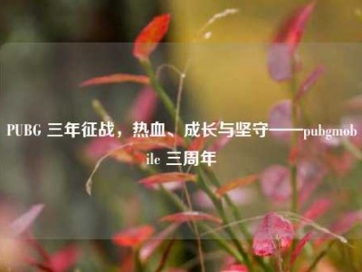 PUBG 三年征战，热血、成长与坚守——pubgmobile 三周年
