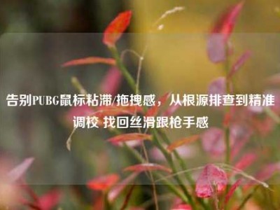 告别PUBG鼠标粘滞/拖拽感，从根源排查到精准调校 找回丝滑跟枪手感