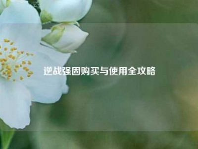 逆战强固购买与使用全攻略
