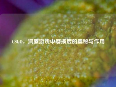 CSGO，洞察游戏中磨损度的奥秘与作用