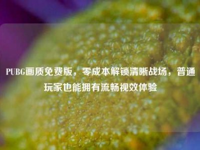 PUBG画质免费版，零成本解锁清晰战场，普通玩家也能拥有流畅视效体验