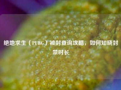 绝地求生（PUBG）被封查询攻略，如何知晓封禁时长