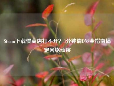 Steam下载慢商店打不开？3分钟清DNS全指南搞定网络顽疾