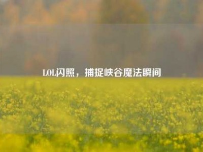 LOL闪照，捕捉峡谷魔法瞬间