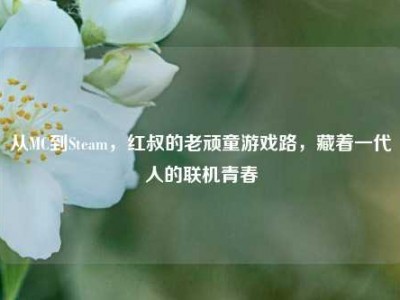 从MC到Steam，红叔的老顽童游戏路，藏着一代人的联机青春