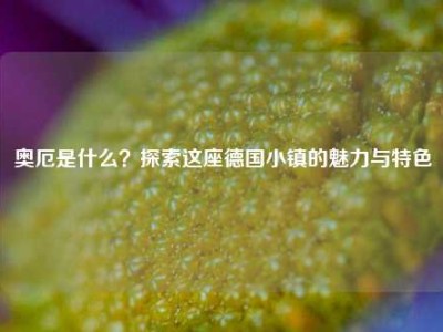 奥厄是什么？探索这座德国小镇的魅力与特色