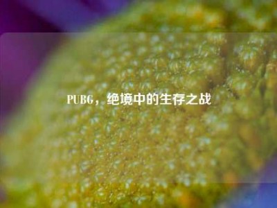 PUBG，绝境中的生存之战