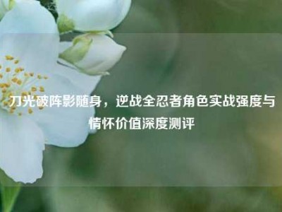 刀光破阵影随身，逆战全忍者角色实战强度与情怀价值深度测评