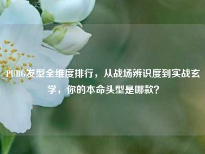 PUBG发型全维度排行，从战场辨识度到实战玄学，你的本命头型是哪款？