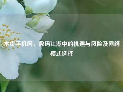 水货手机网，数码江湖中的机遇与风险及网络模式选择