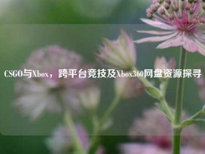 CSGO与Xbox，跨平台竞技及Xbox360网盘资源探寻