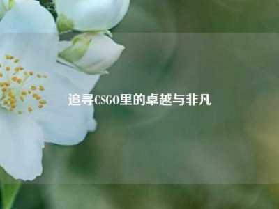 追寻CSGO里的卓越与非凡