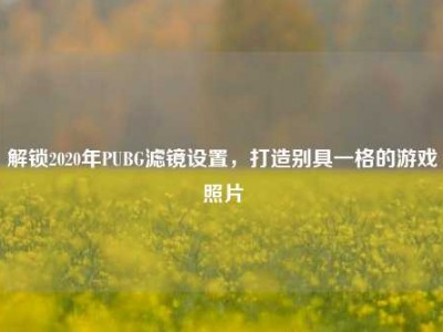 解锁2020年PUBG滤镜设置，打造别具一格的游戏照片