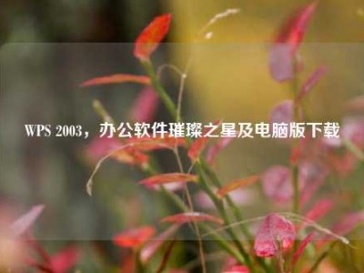 WPS 2003，办公软件璀璨之星及电脑版下载
