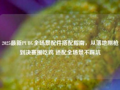 2025最新PUBG全场景配件搭配指南，从落地刚枪到决赛圈吃鸡 适配全场景不踩坑