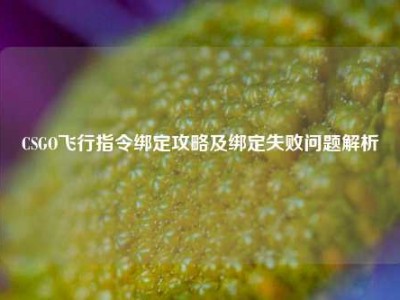 CSGO飞行指令绑定攻略及绑定失败问题解析