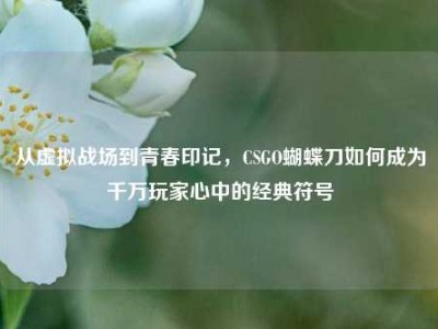 从虚拟战场到青春印记，CSGO蝴蝶刀如何成为千万玩家心中的经典符号