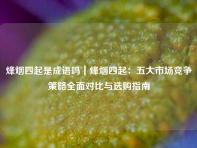 烽烟四起是成语吗｜烽烟四起：五大市场竞争策略全面对比与选购指南