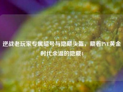 逆战老玩家专属暗号与隐藏头盔，藏着PVE黄金时代余温的隐藏4