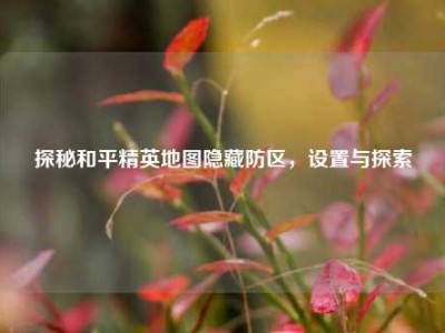 探秘和平精英地图隐藏防区，设置与探索