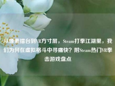 从像素擂台到VR方寸屏，Steam打拳江湖里，我们为何在虚拟格斗中寻痛快？附Steam热门VR拳击游戏盘点