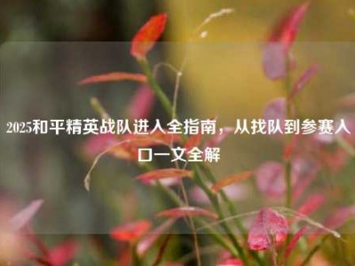 2025和平精英战队进入全指南，从找队到参赛入口一文全解