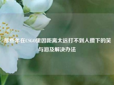 那些年在CSGO里因距离太远打不到人攒下的笑与泪及解决办法