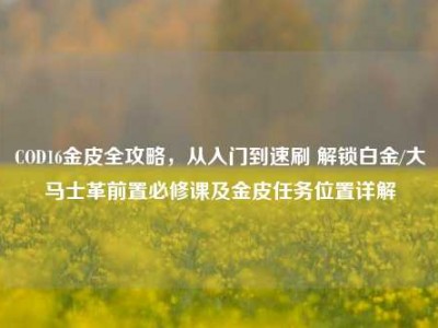 COD16金皮全攻略，从入门到速刷 解锁白金/大马士革前置必修课及金皮任务位置详解