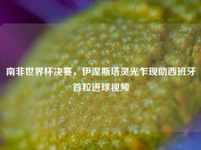 南非世界杯决赛，伊涅斯塔灵光乍现助西班牙首粒进球视频
