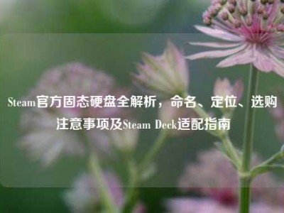 Steam官方固态硬盘全解析，命名、定位、选购注意事项及Steam Deck适配指南