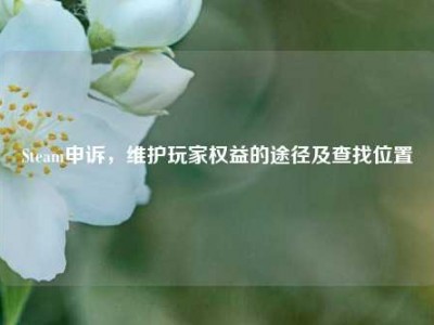 Steam申诉，维护玩家权益的途径及查找位置