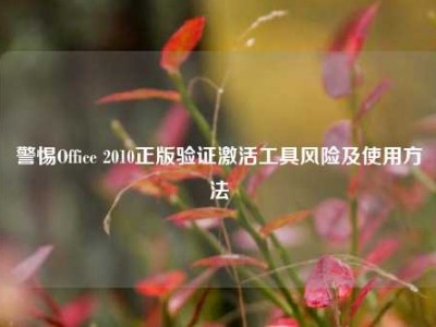 警惕Office 2010正版验证激活工具风险及使用方法