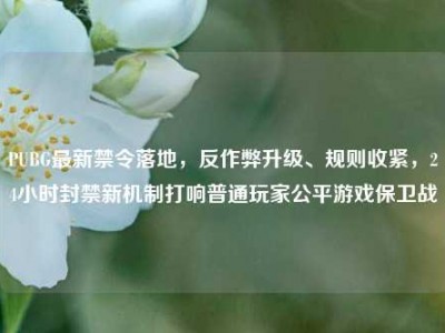 PUBG最新禁令落地，反作弊升级、规则收紧，24小时封禁新机制打响普通玩家公平游戏保卫战
